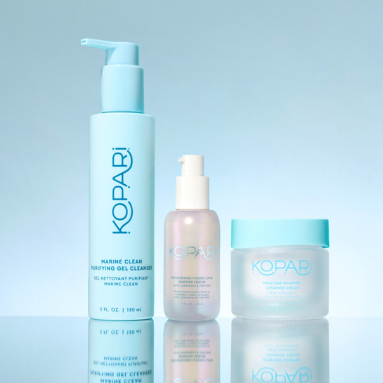 Hydro-Barrier Renewal Set 